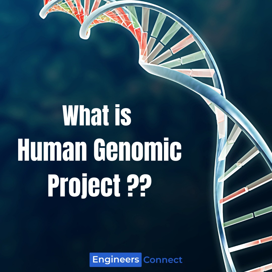 What Is Human Genome Project? - Blogs By Engineersconnect